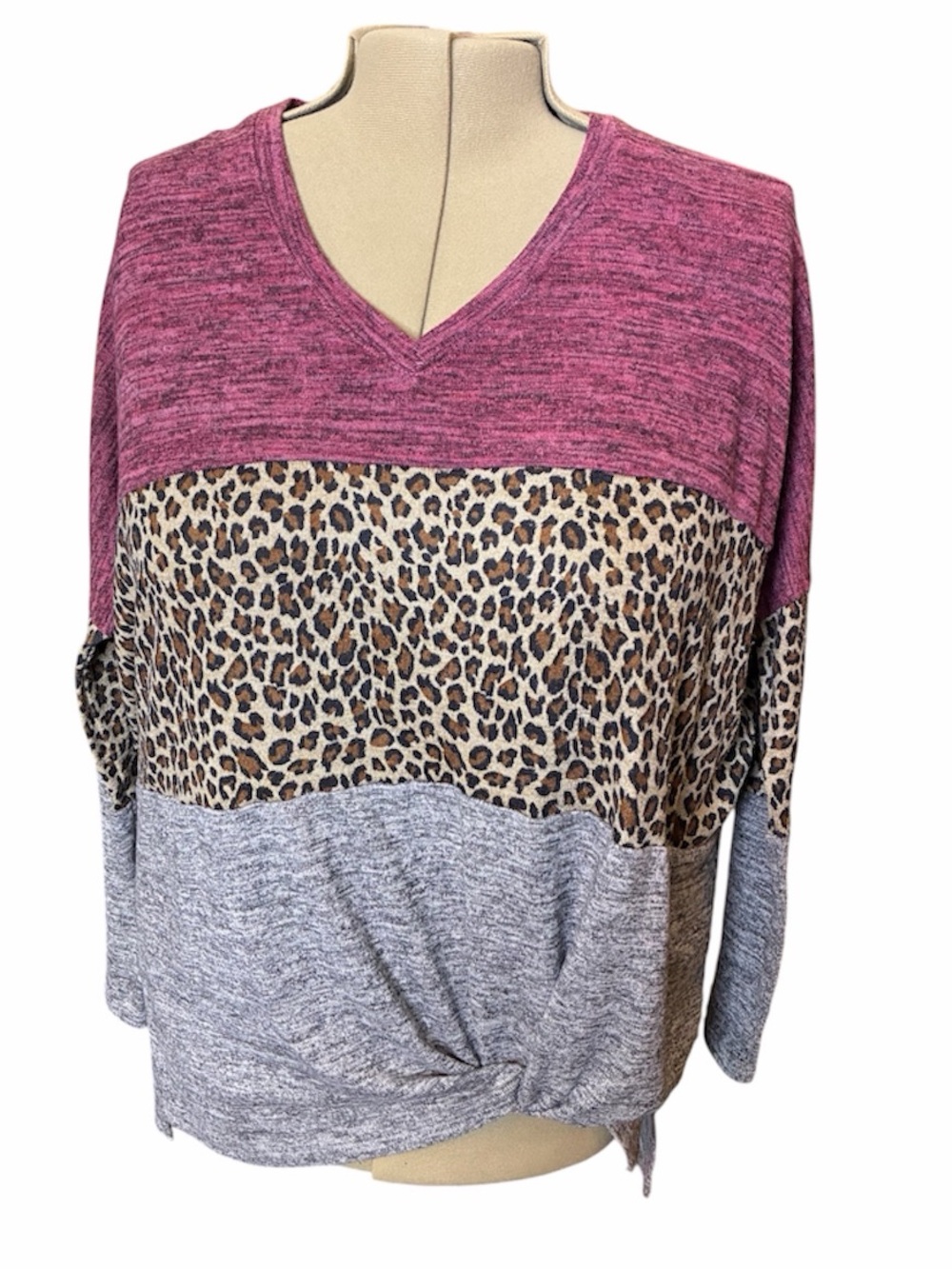 Umgee V-Neck Color-block Top